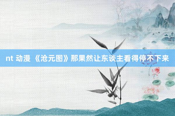 nt 动漫 《沧元图》那果然让东谈主看得停不下来