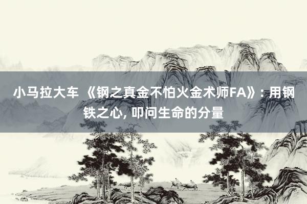 小马拉大车 《钢之真金不怕火金术师FA》: 用钢铁之心， 叩问生命的分量