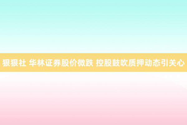 狠狠社 华林证券股价微跌 控股鼓吹质押动态引关心
