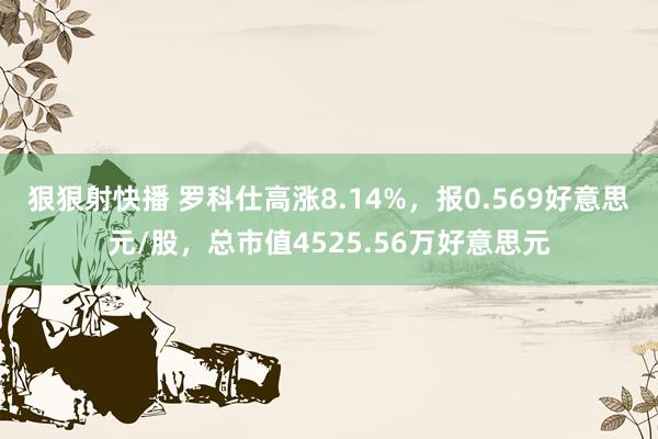 狠狠射快播 罗科仕高涨8.14%，报0.569好意思元/股，总市值4525.56万好意思元