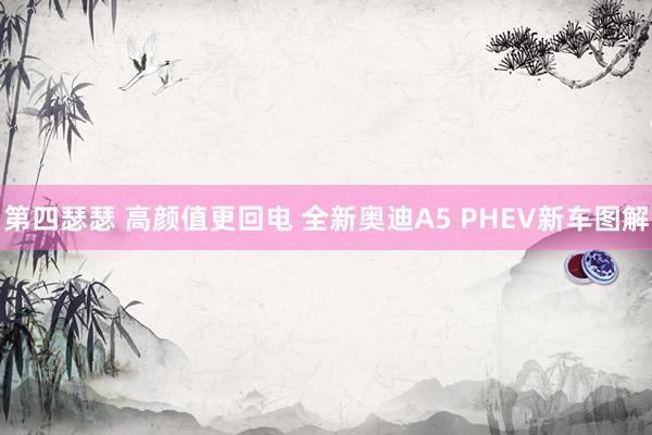 第四瑟瑟 高颜值更回电 全新奥迪A5 PHEV新车图解