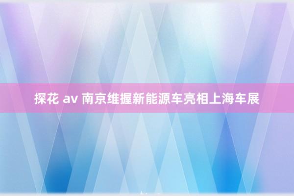 探花 av 南京维握新能源车亮相上海车展