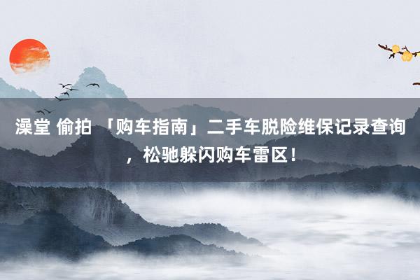 澡堂 偷拍 「购车指南」二手车脱险维保记录查询，松驰躲闪购车雷区！