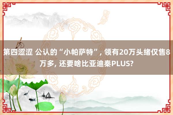 第四涩涩 公认的“小帕萨特”， 领有20万头绪仅售8万多， 还要啥比亚迪秦PLUS?