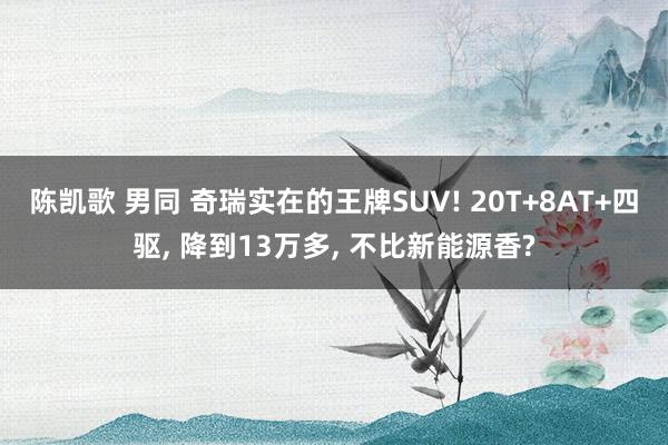 陈凯歌 男同 奇瑞实在的王牌SUV! 20T+8AT+四驱， 降到13万多， 不比新能源香?