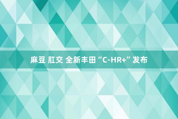 麻豆 肛交 全新丰田“C-HR+”发布