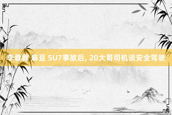 李蓉蓉 麻豆 SU7事故后， 20大哥司机谈安全驾驶