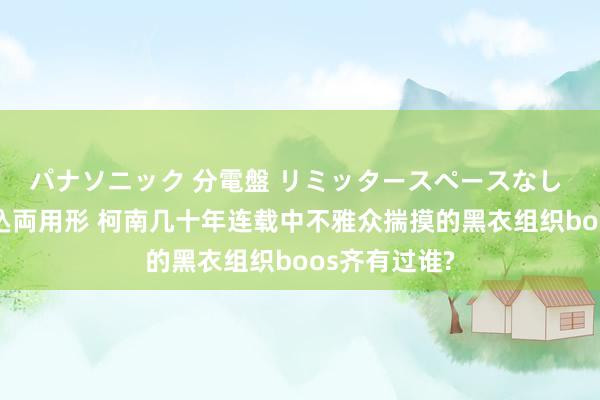 パナソニック 分電盤 リミッタースペースなし 露出・半埋込両用形 柯南几十年连载中不雅众揣摸的黑衣组织boos齐有过谁?