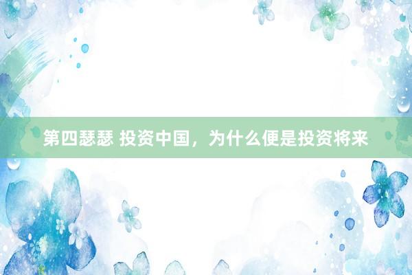 第四瑟瑟 投资中国，为什么便是投资将来