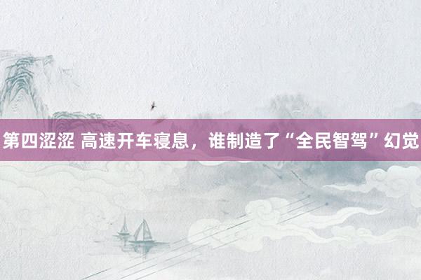 第四涩涩 高速开车寝息，谁制造了“全民智驾”幻觉