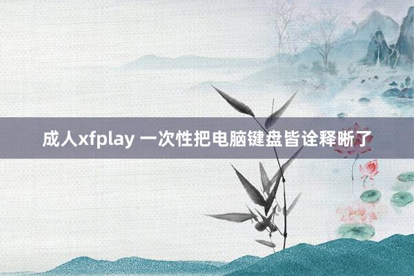 成人xfplay 一次性把电脑键盘皆诠释晰了