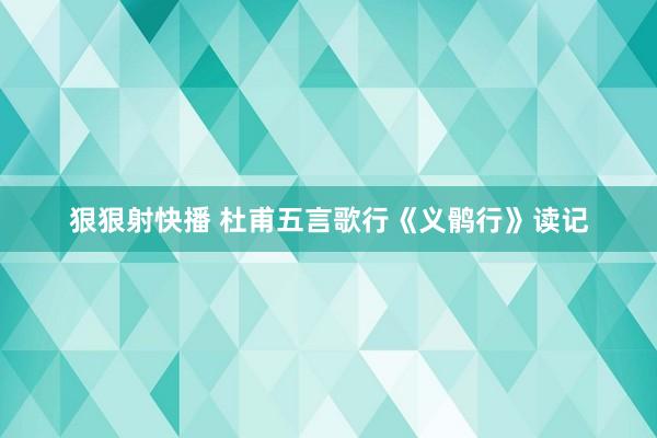 狠狠射快播 杜甫五言歌行《义鹘行》读记
