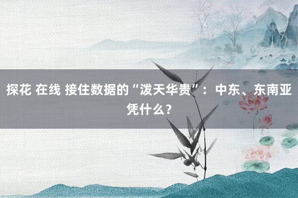 探花 在线 接住数据的“泼天华贵”：中东、东南亚凭什么？