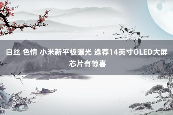 白丝 色情 小米新平板曝光 遴荐14英寸OLED大屏 芯片有惊喜