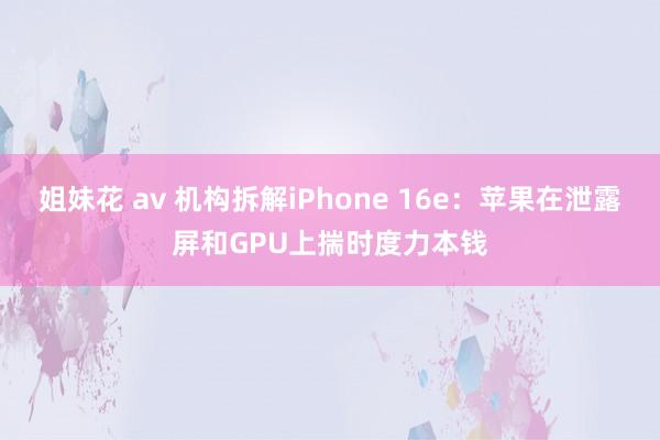 姐妹花 av 机构拆解iPhone 16e：苹果在泄露屏和GPU上揣时度力本钱